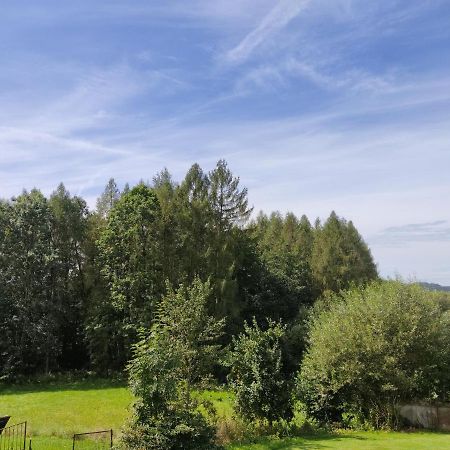 Pension Bachlhof Fursteneck Экстерьер фото
