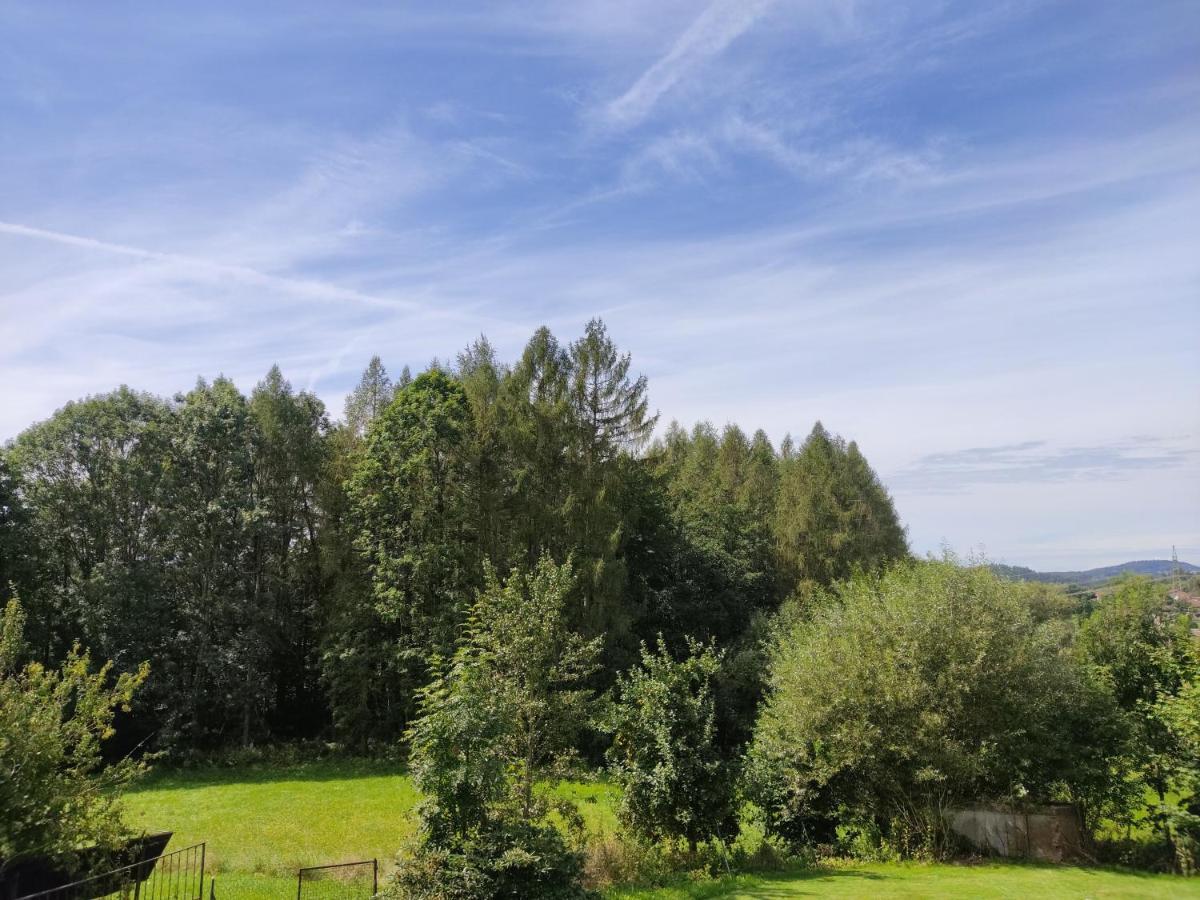 Pension Bachlhof Fursteneck Экстерьер фото